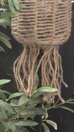 Solar tuinsteker touw naturel