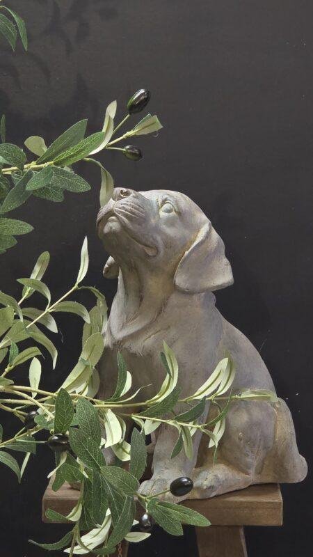 Hond beeld labrador 33 cm – tuindecoratie stoer landelijk