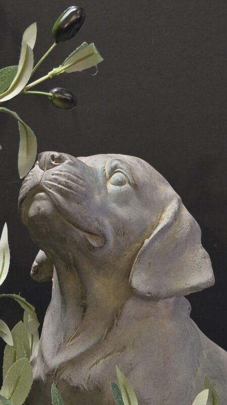 Hond beeld labrador 33 cm – tuindecoratie stoer landelijk
