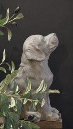 Hond beeld labrador 33 cm – tuindecoratie stoer landelijk