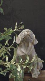 Hond beeld labrador 33 cm – tuindecoratie stoer landelijk