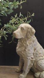 Retriever beeld 50 cm – stoere landelijke hond decoratie