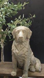 Retriever beeld 50 cm – stoere landelijke hond decoratie