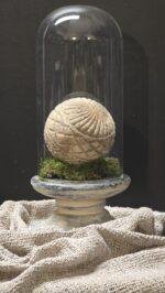 Glazen stolp met voet landelijk – 3 maten decoratie stolp