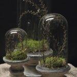 Glazen stolp met voet landelijk – 3 maten decoratie stolp