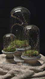 Glazen stolp met voet landelijk – 3 maten decoratie stolp