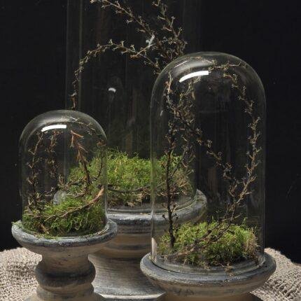 Glazen stolp met voet landelijk – 3 maten decoratie stolp