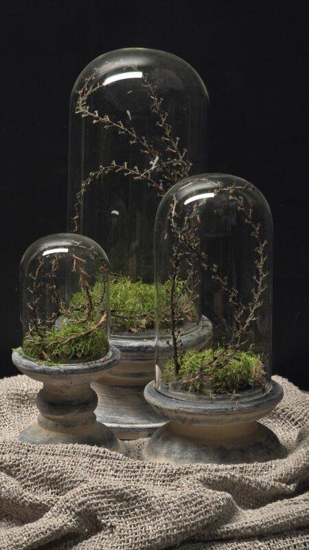 Glazen stolp met voet landelijk – 3 maten decoratie stolp