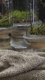 Glazen stolp met voet landelijk – 3 maten decoratie stolp