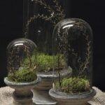 Glazen stolp met voet landelijk – 3 maten decoratie stolp