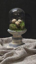 Glazen stolp met voet landelijk – 3 maten decoratie stolp
