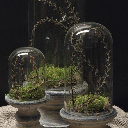 Glazen stolp met voet landelijk – 3 maten decoratie stolp