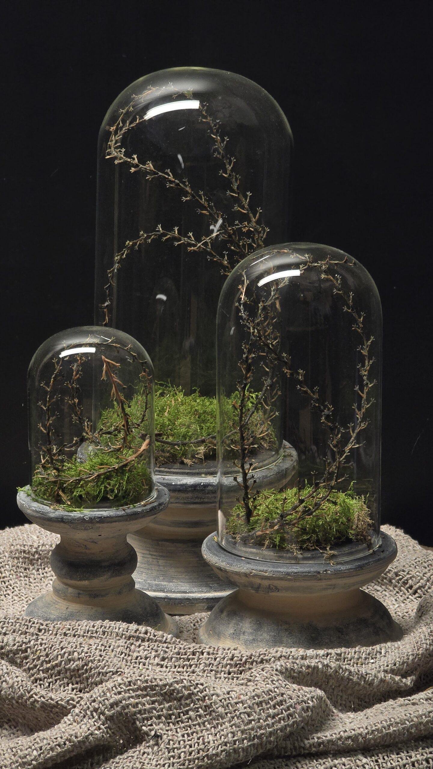 glazen-stolp-met-voet-landelijk-3-maten-decoratie-stolp 1 Glazen stolp met voet landelijk – 3 maten decoratie stolp