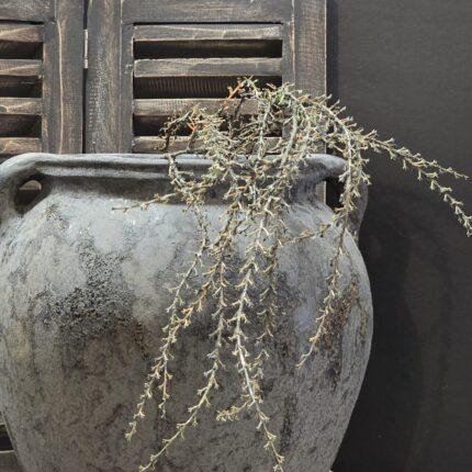 Landelijke kruik met oren grijs – stoere pot met handgrepen