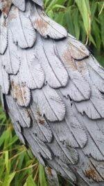 Landelijke reiger tuinornament grijs foto 3