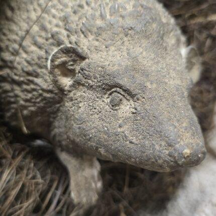 Landelijke tuin decoratie egel