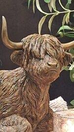 Schotse hooglander beeld liggend