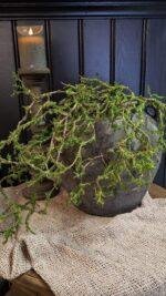 Kunst Mostak Hangend Groen – Landelijke Decoratietak 80 cm