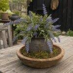 Sfeerset Kunst lavendel – landelijke woondecoratie