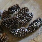 Mini Sparrenkegels 180 gram –mix kleur- Natuurlijk Decoratiemateriaal