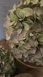 Kunst Hortensia Bol Groen/Vergrijsd – Landelijke Decoratie - Afbeelding 2