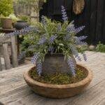 Sfeerset Kunst lavendel – landelijke woondecoratie