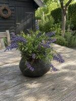 Sfeerset Kunst lavendel – landelijke woondecoratie - Afbeelding 2