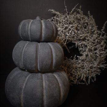 Brynxz set pompoenen