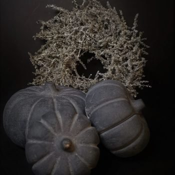 Brynxz set pompoenen